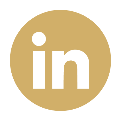 Rebbel_Icon-linkedin